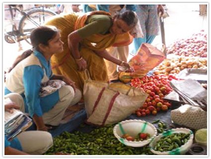 Report on youth climate saver programme (YCS)