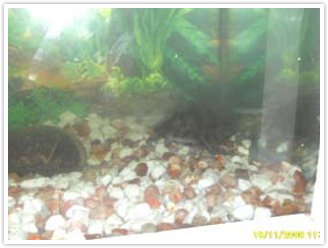 Class VII was taken to Zoological park