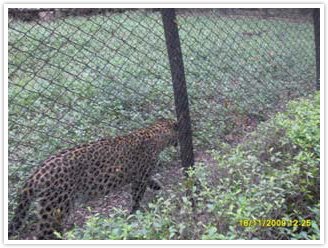 Class VII was taken to Zoological park